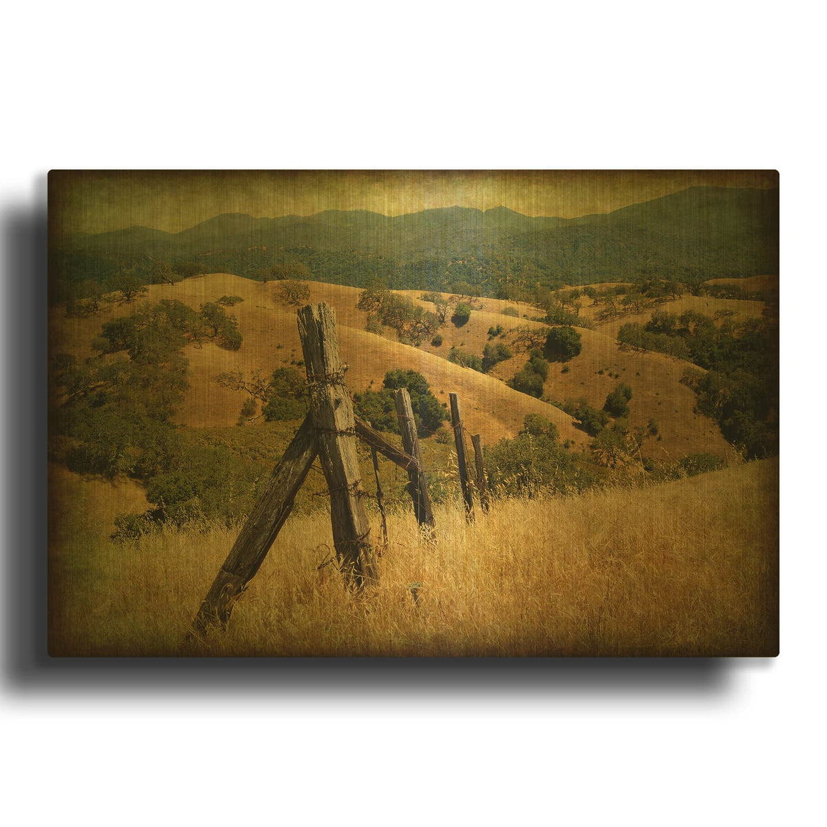 'Weathered Ranch Fence' By William Guion Gold Metal Wall Art