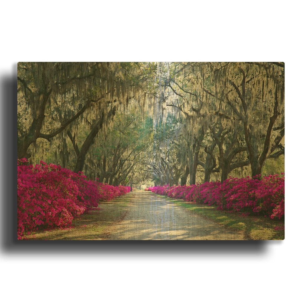 'Azaleas Bonaventure' By Winthrope Hiers Gold Metal Wall Art