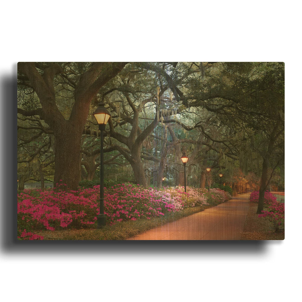 'Forsythe Park' By Winthrope Hiers Gold Metal Wall Art