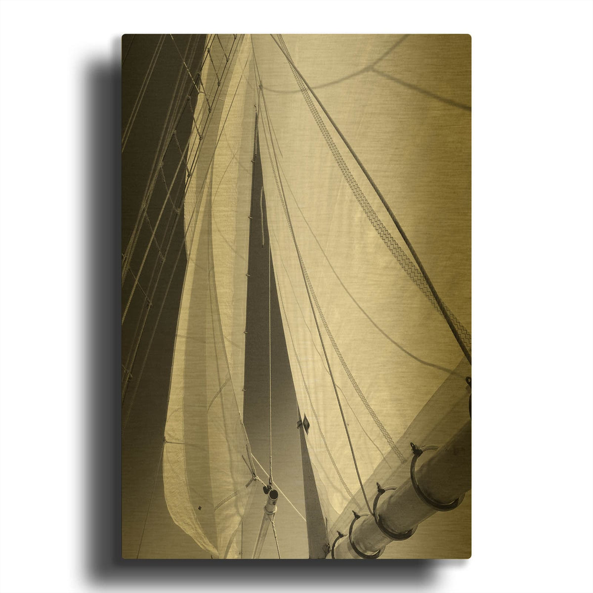 'Sailboat Sails Florida' By Winthrope Hiers Gold Metal Wall Art