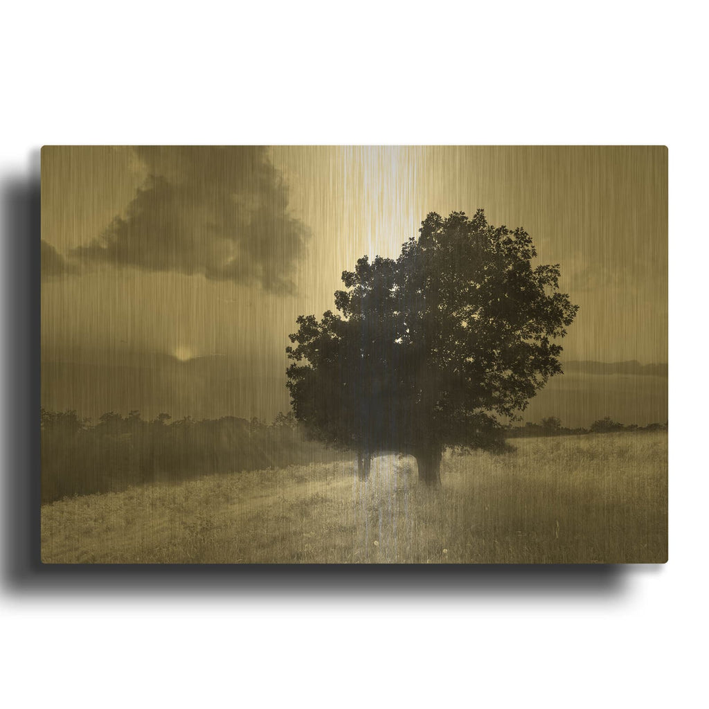 'Spitler Knoll Overlook' By Winthrope Hiers Gold Metal Wall Art