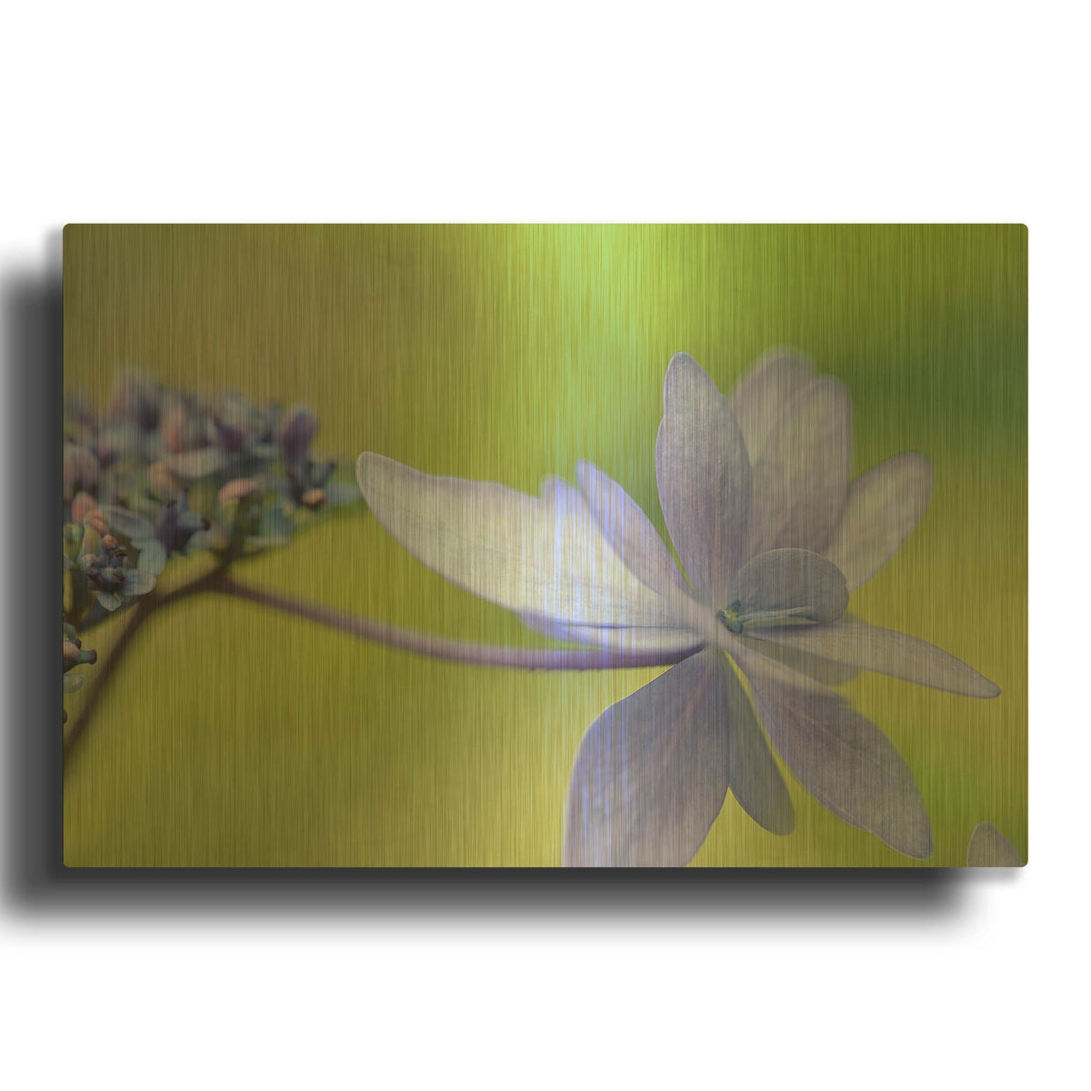 'Blue HCora Nieleydrangea' By Cora Niele Gold Metal Wall Art