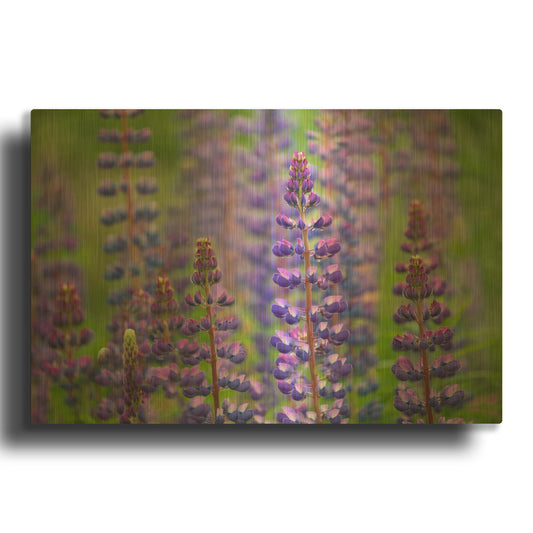 'Blue Lupine Flowers' By Cora Niele Gold Metal Wall Art