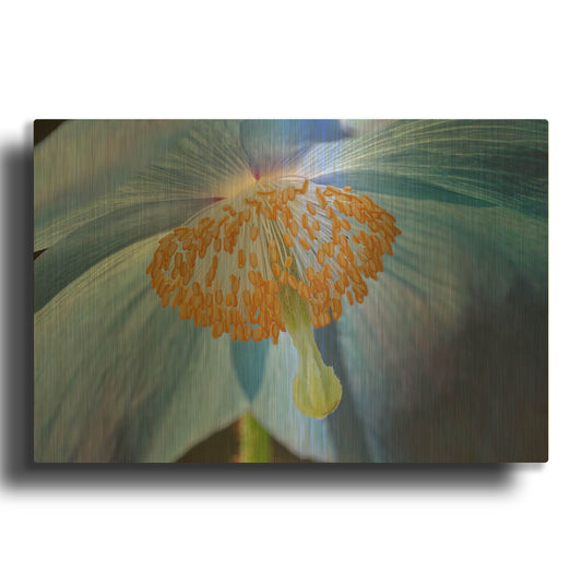 'Blue Poppy' By Cora Niele Gold Metal Wall Art