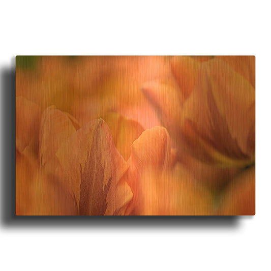 'Orange Tulips' By Cora Niele Gold Metal Wall Art