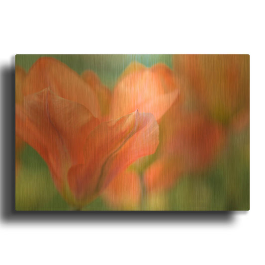 'Orange Wings Tuilps' By Cora Niele Gold Metal Wall Art