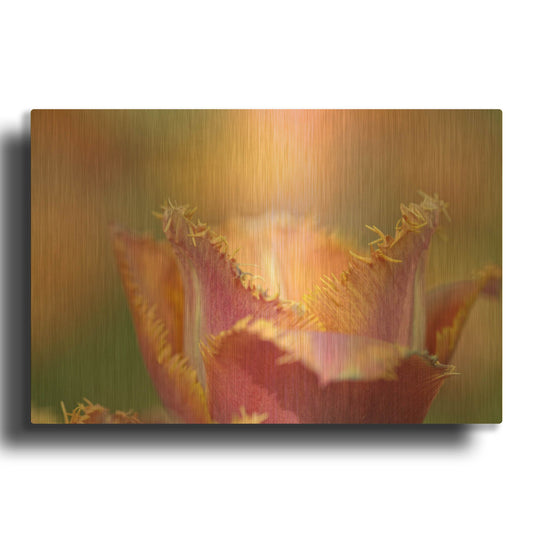 'Tulip Crispa' By Cora Niele Gold Metal Wall Art