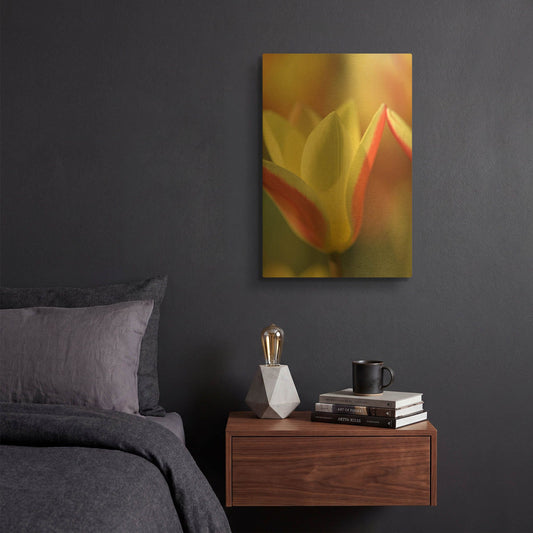 'Tulip Tinka' By Cora Niele Gold Metal Wall Art