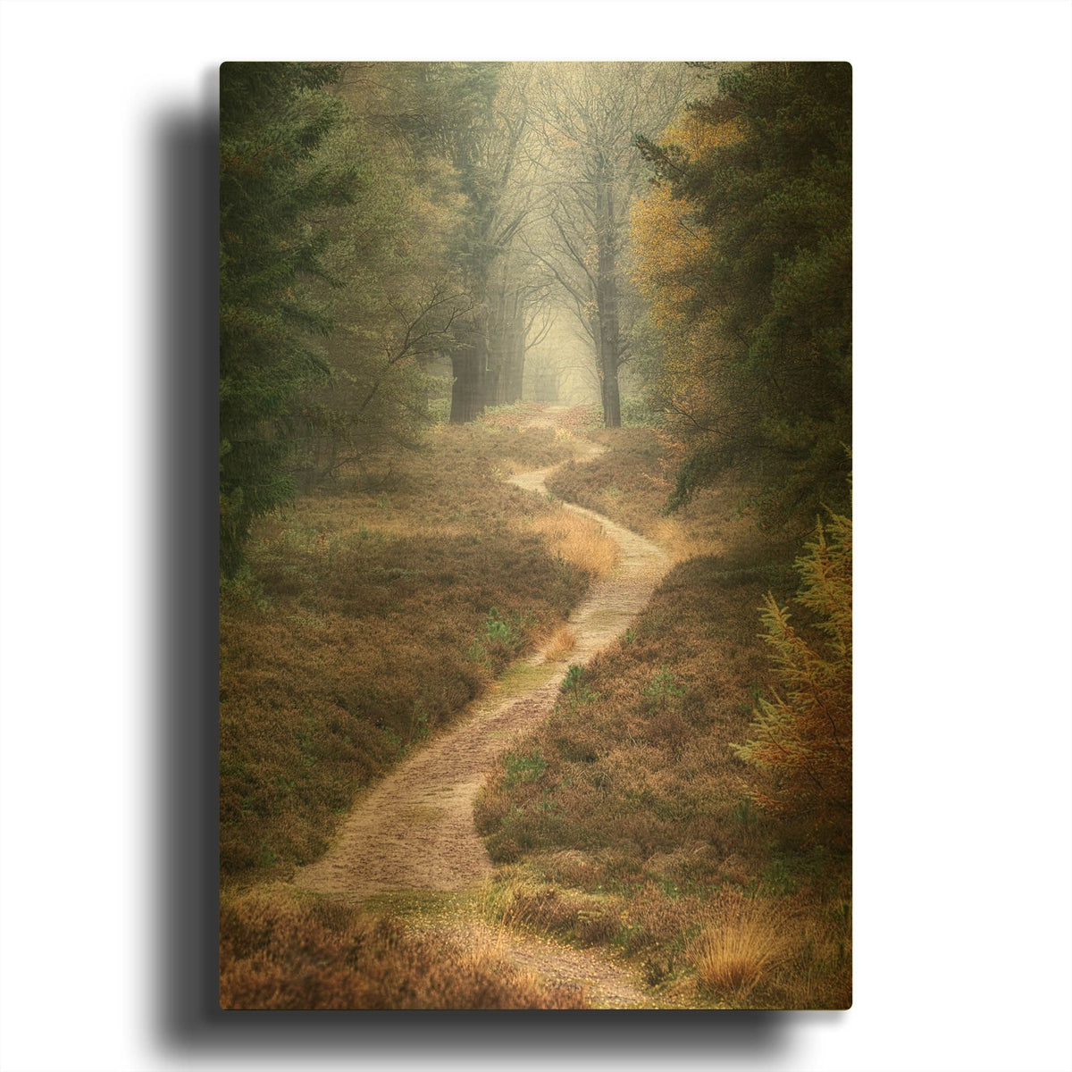 'Hiking Trail' By Cora Niele Gold Metal Wall Art