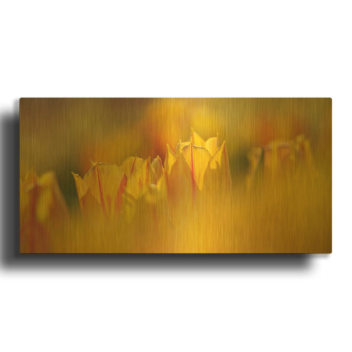 'Aurora Tulips' By Cora Niele Gold Metal Wall Art