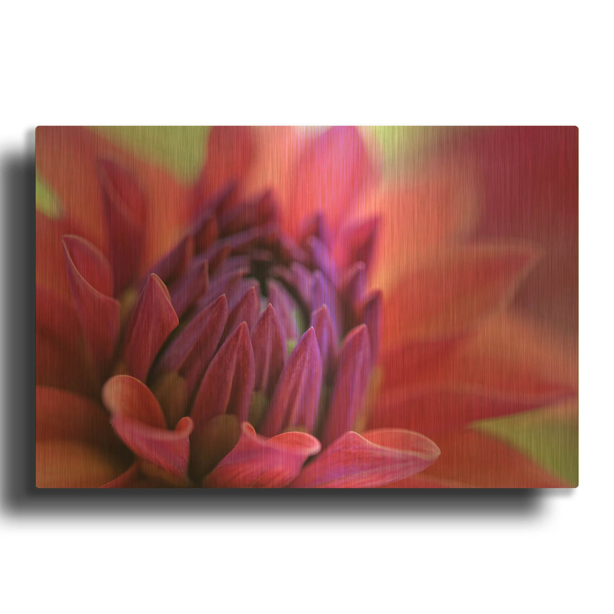 'Dahlia Centre Pink Purple' By Cora Niele Gold Metal Wall Art