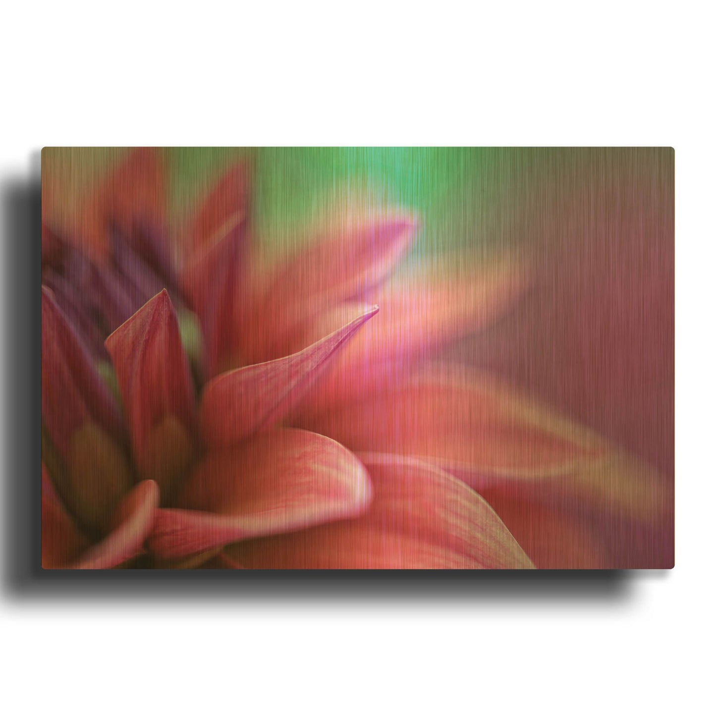 'Dahlia Petals Pink Purple' By Cora Niele Gold Metal Wall Art