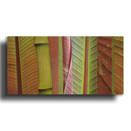 'Green and Red Leaf Collage' By Cora Niele Gold Metal Wall Art