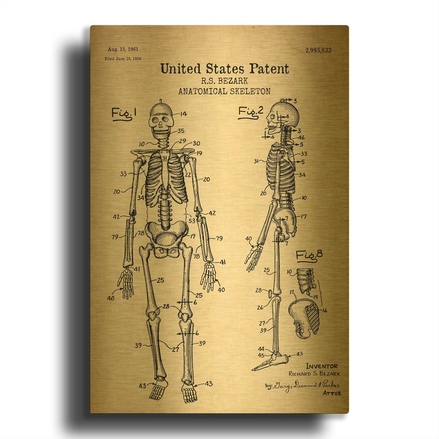 'Anatomical Skeleton Blueprint Patent Parchment' By LUXE Gold Metal Wall Art