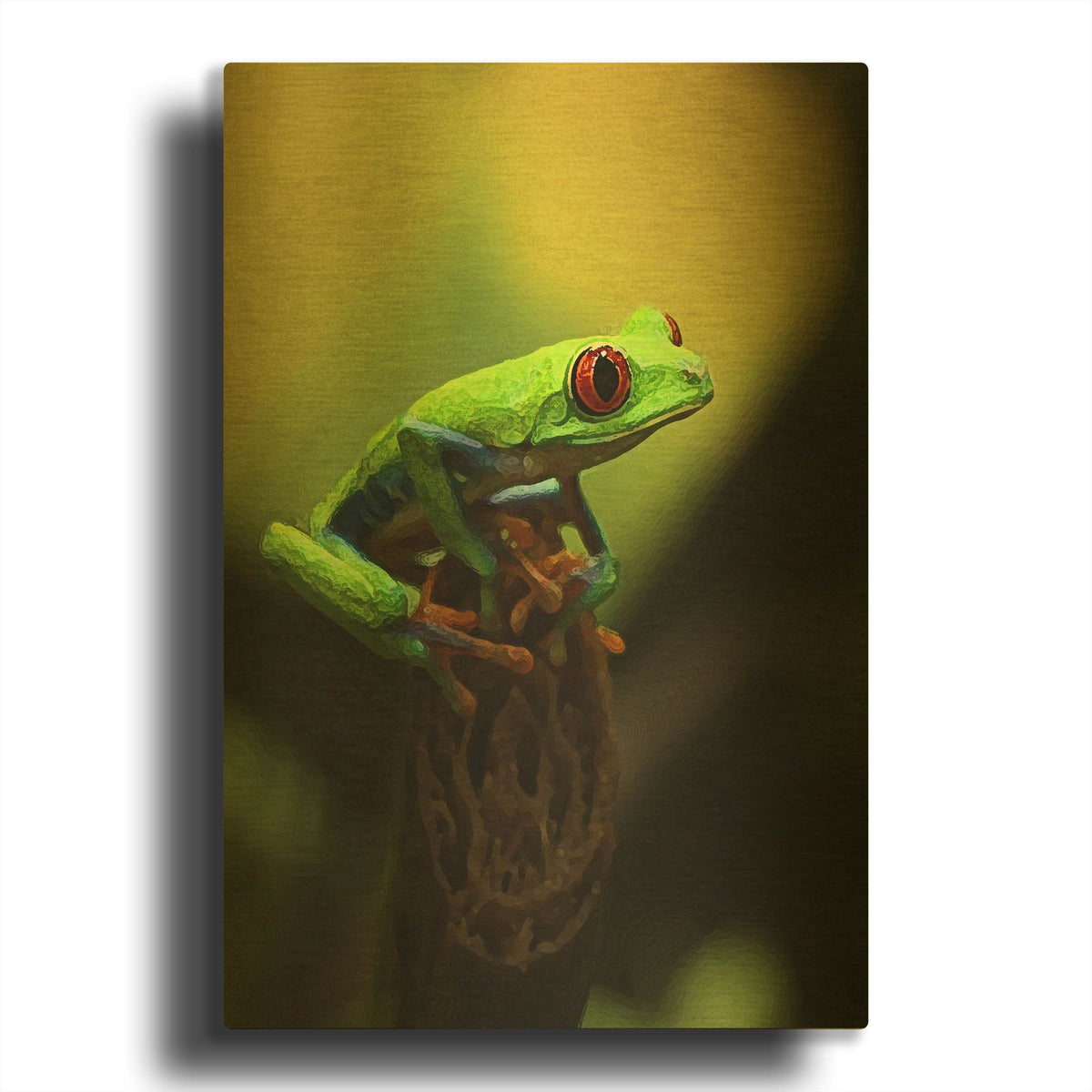 'Tree Frog' By Dana Brett Munach Gold Metal Wall Art