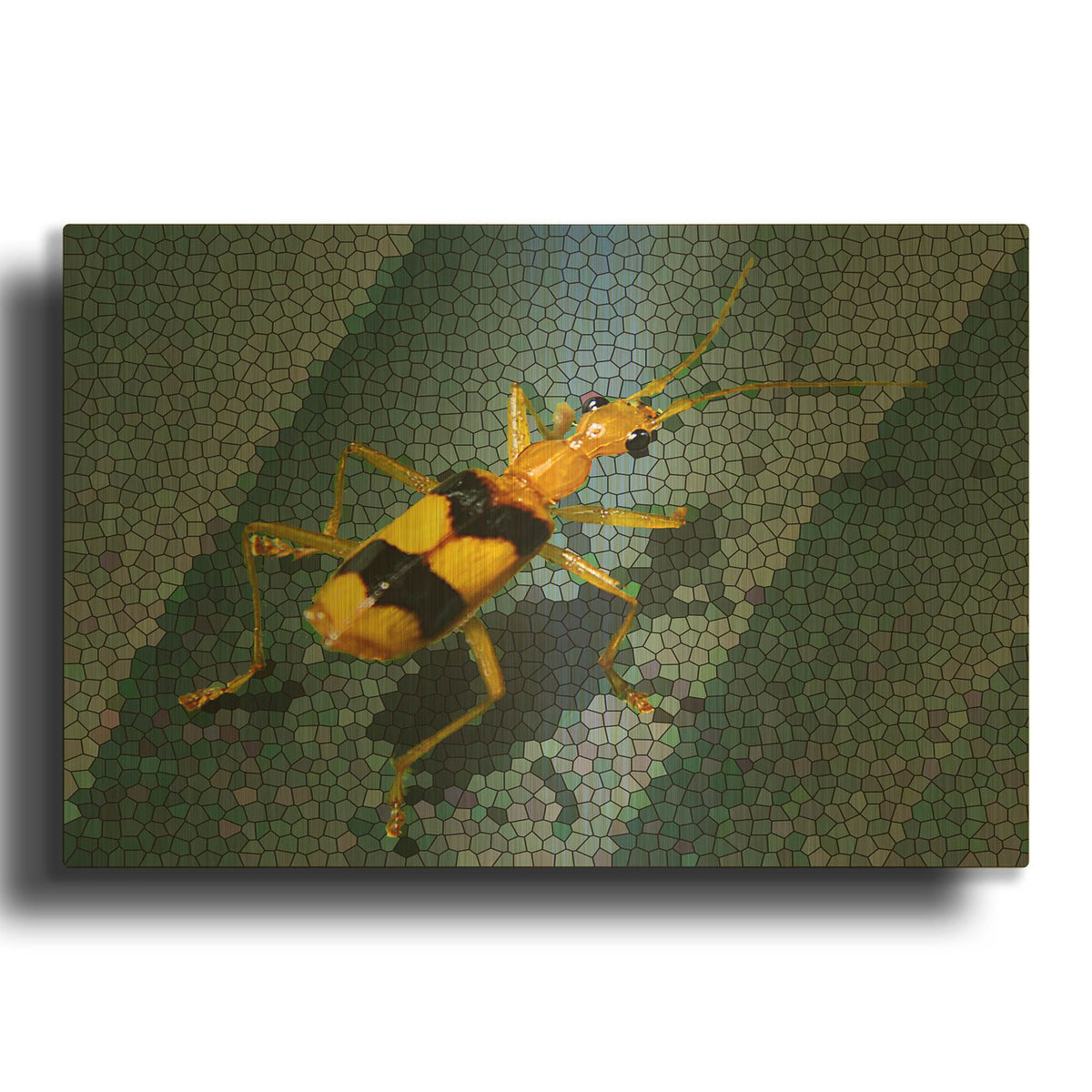 'Yellow Bug' By Dana Brett Munach Gold Metal Wall Art
