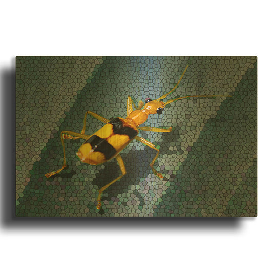 'Yellow Bug' By Dana Brett Munach Gold Metal Wall Art