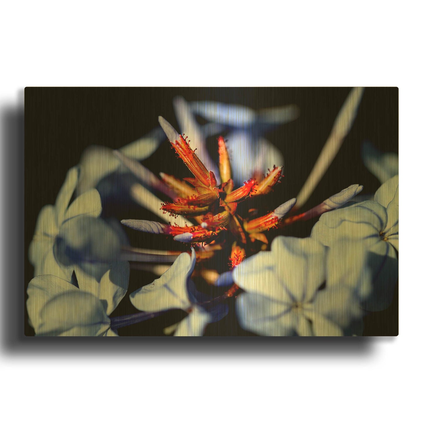 'Blue And Orange Flower' By Dana Brett Munach Gold Metal Wall Art
