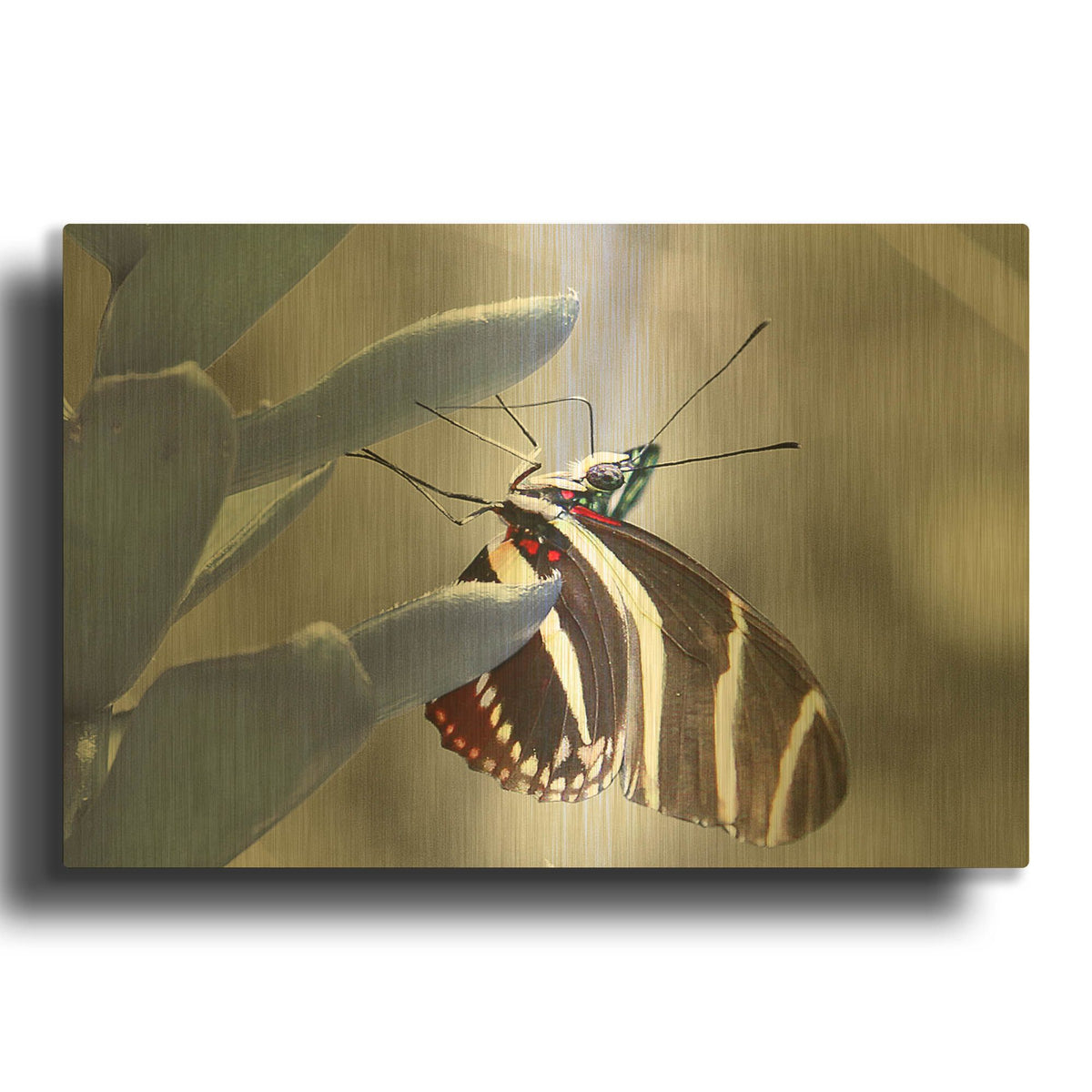 'Butterfly' By Dana Brett Munach Gold Metal Wall Art