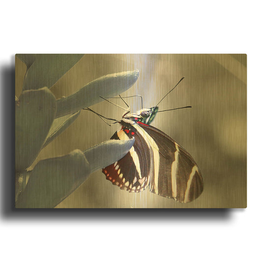 'Butterfly' By Dana Brett Munach Gold Metal Wall Art