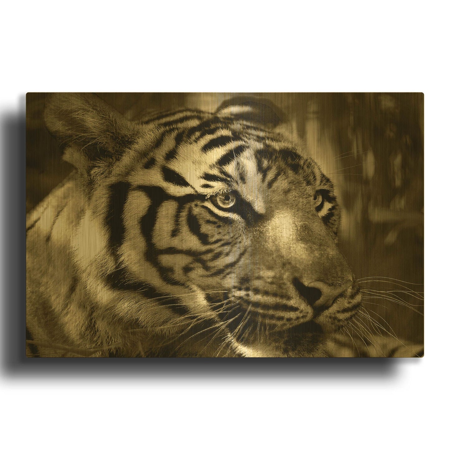 'Focus' By Dana Brett Munach Gold Metal Wall Art