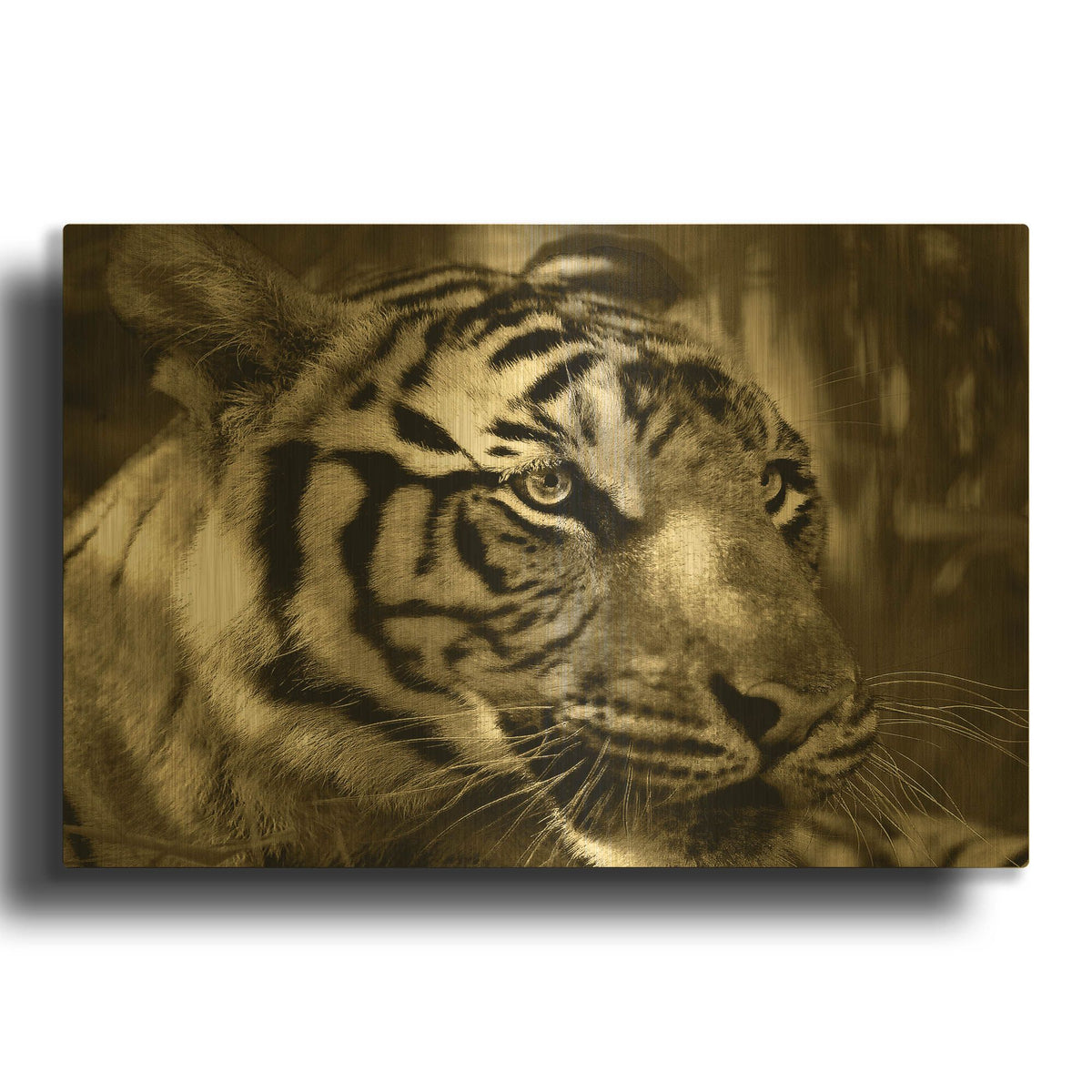 'Focus' By Dana Brett Munach Gold Metal Wall Art