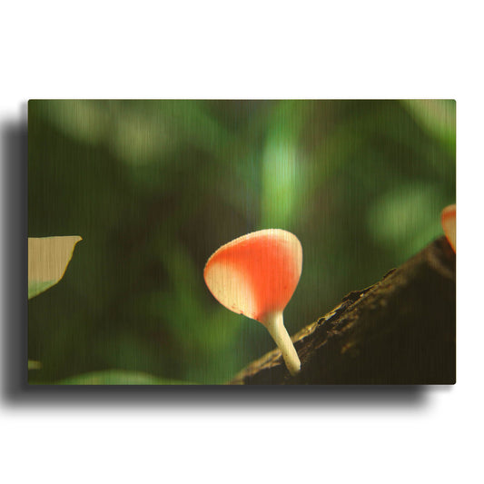 'Fungus 2' By Dana Brett Munach Gold Metal Wall Art