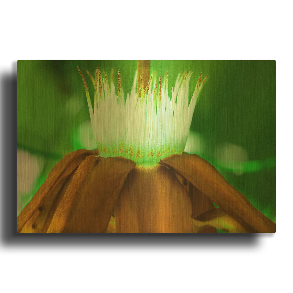 'Golden Water Lilly' By Dana Brett Munach Gold Metal Wall Art