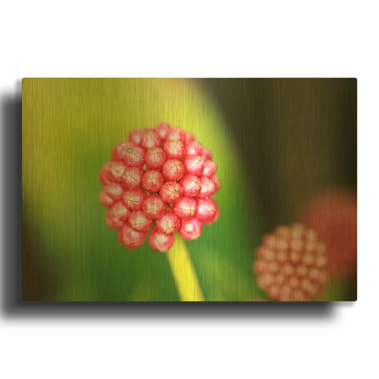 'Pod' By Dana Brett Munach Gold Metal Wall Art