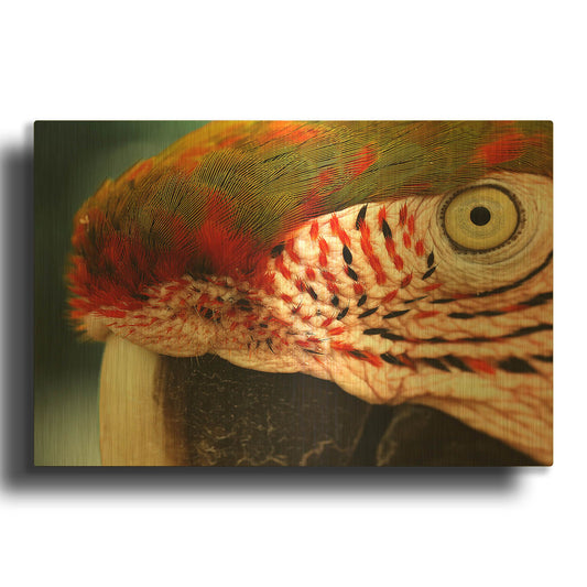 'Polly' By Dana Brett Munach Gold Metal Wall Art