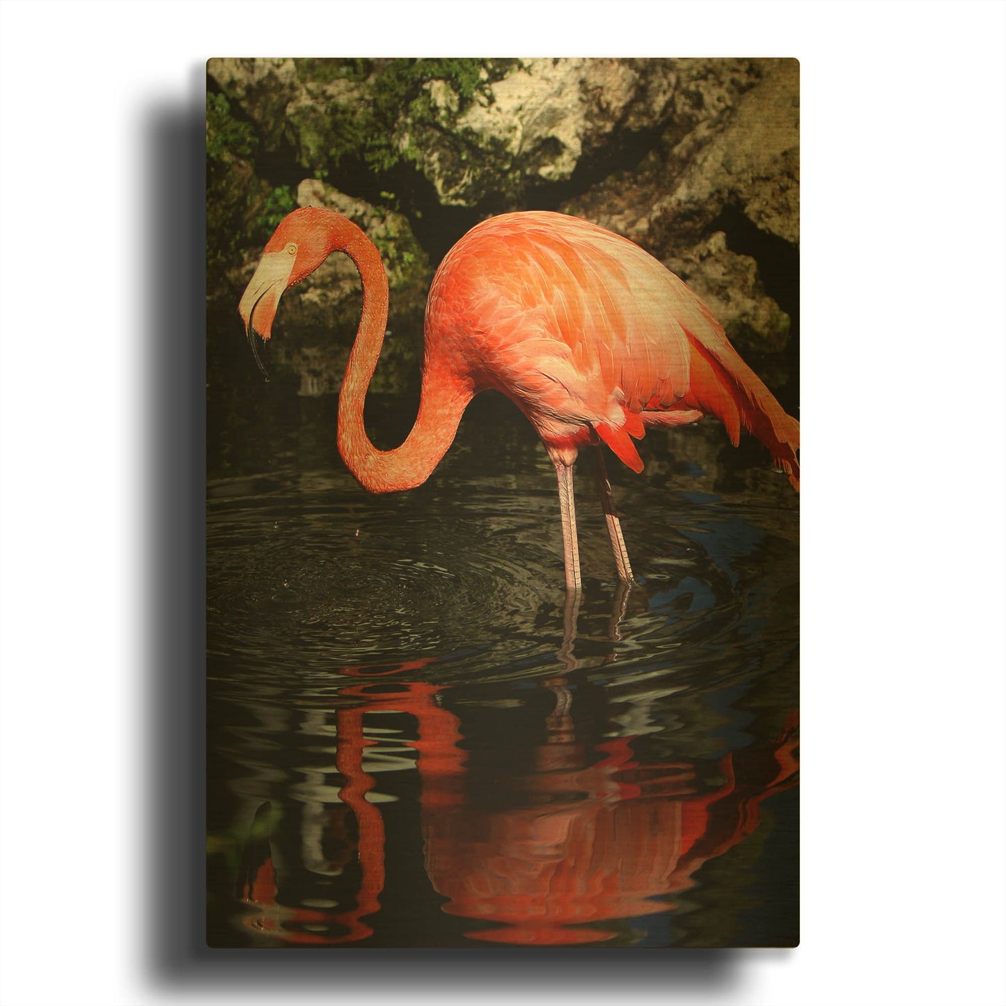 'Reflections' By Dana Brett Munach Gold Metal Wall Art