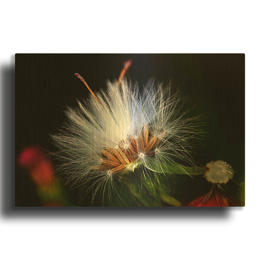 'Snow Flower' By Dana Brett Munach Gold Metal Wall Art