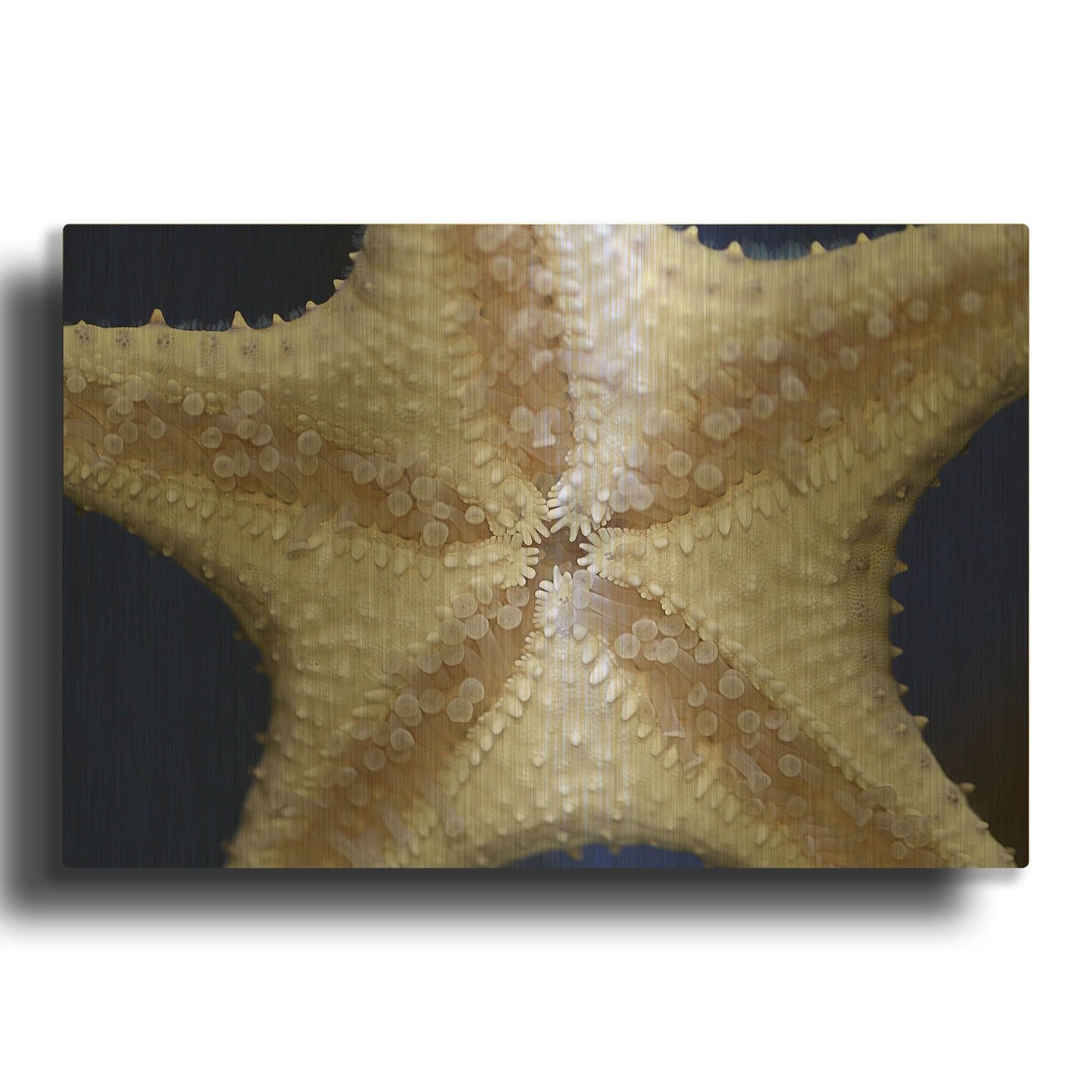 'Stuck On You' By Dana Brett Munach Gold Metal Wall Art
