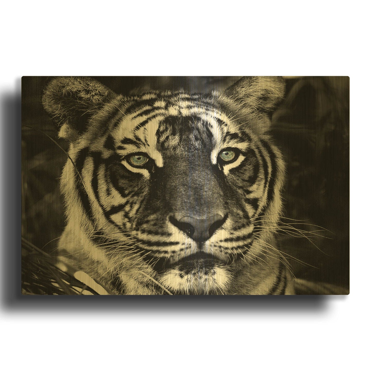 'The Observer Black & White' By Dana Brett Munach Gold Metal Wall Art