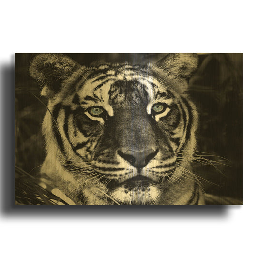 'The Observer Black & White' By Dana Brett Munach Gold Metal Wall Art