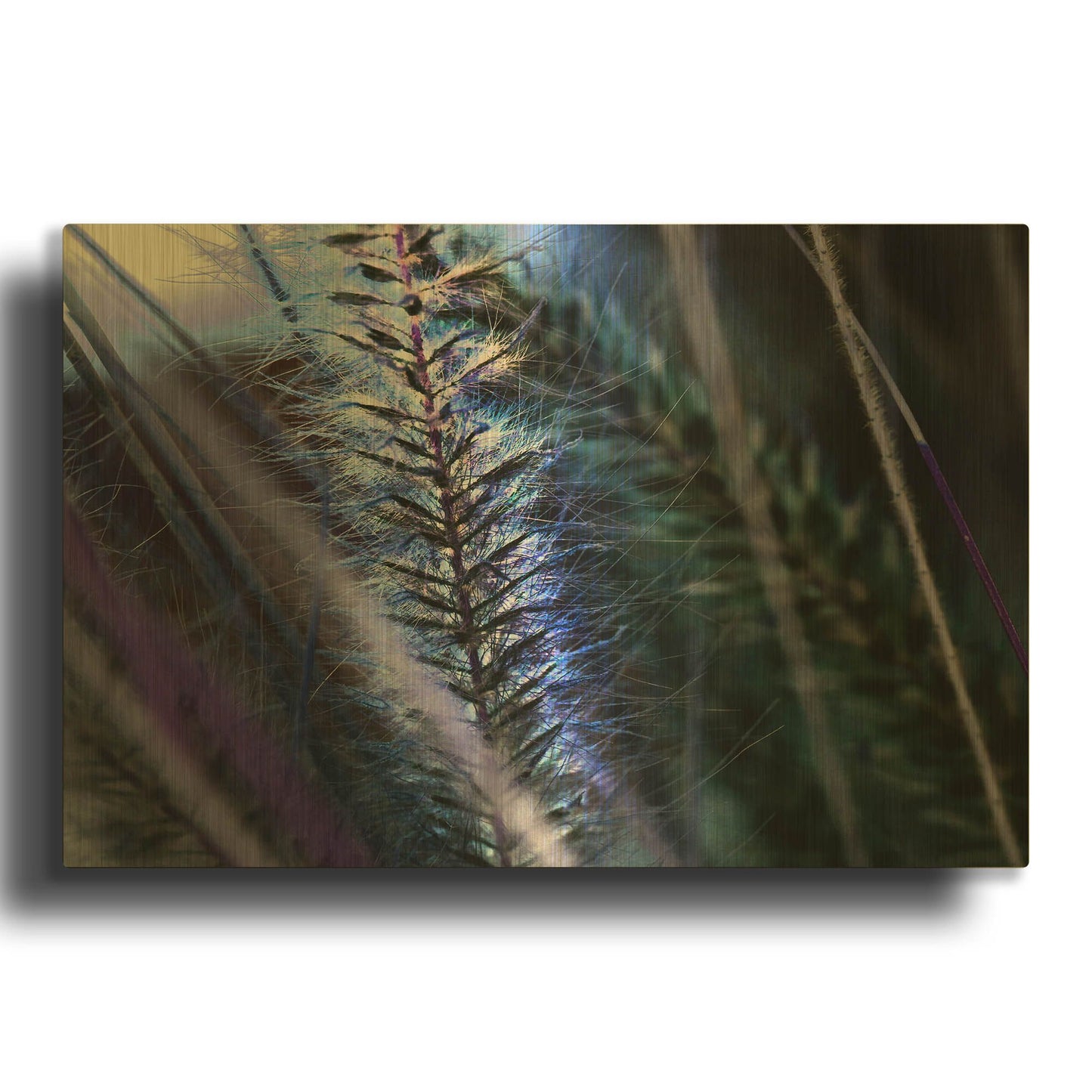 'Willow' By Dana Brett Munach Gold Metal Wall Art