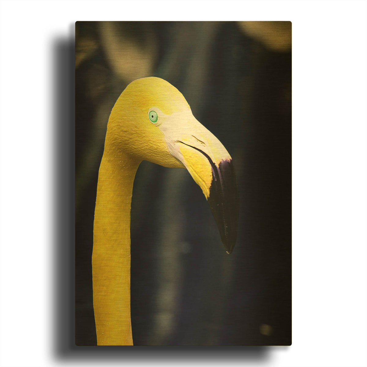 'Yellow Flamingo' By Dana Brett Munach Gold Metal Wall Art