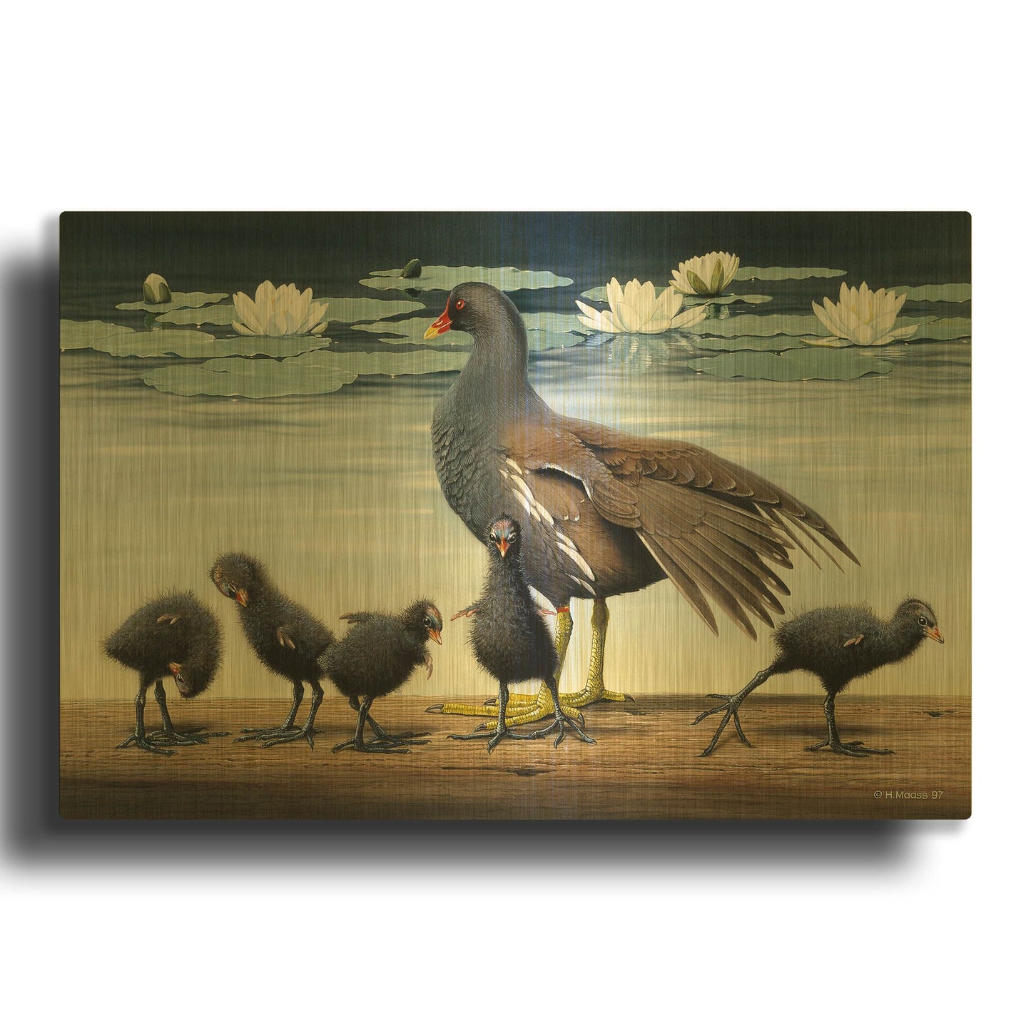 'Common Gallinule With Chicken And Water-Lilies' By Harro Maass Gold Metal Wall Art