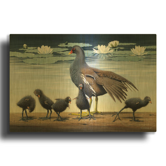'Common Gallinule With Chicken And Water-Lilies' By Harro Maass Gold Metal Wall Art
