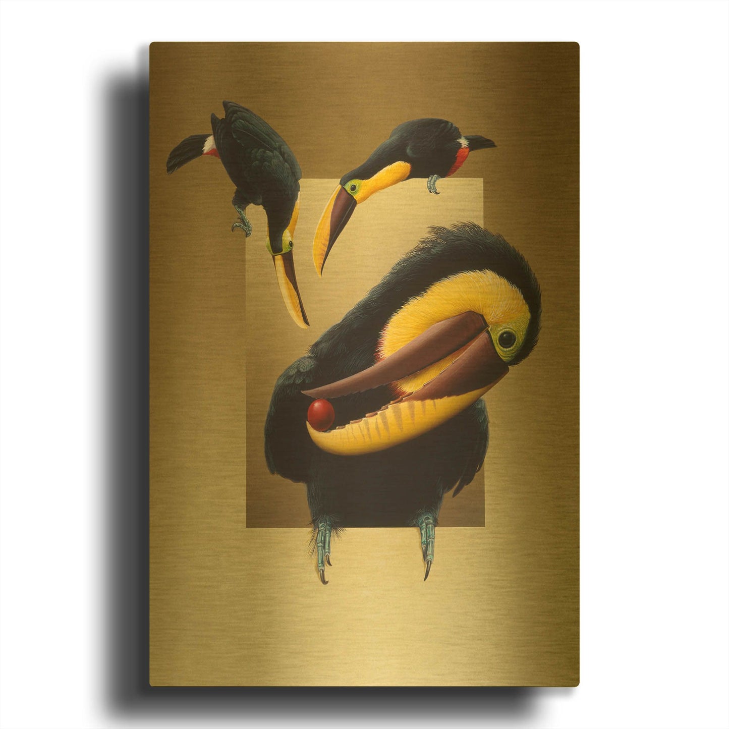 'Chestnut-Mandibled Toucans' By Harro Maass Gold Metal Wall Art