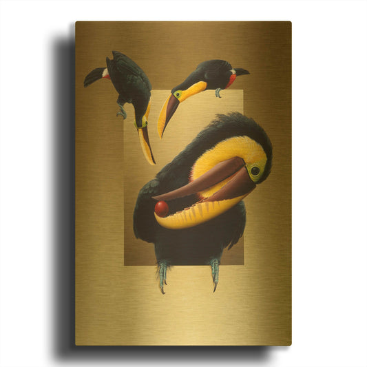'Chestnut-Mandibled Toucans' By Harro Maass Gold Metal Wall Art