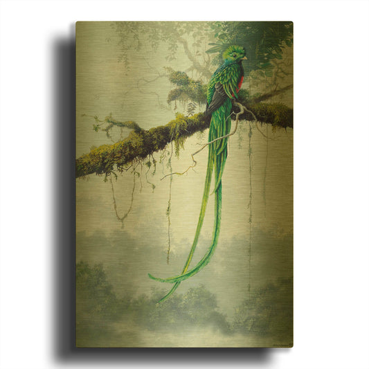 'Resplendent Quetzal' By Harro Maass Gold Metal Wall Art