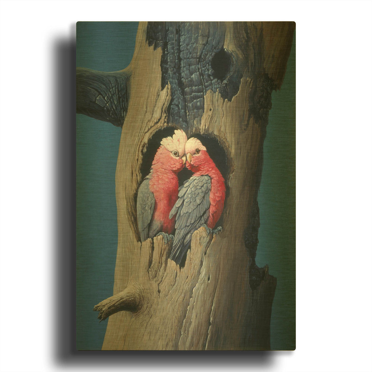 'Rosa Kakadu' By Harro Maass Gold Metal Wall Art