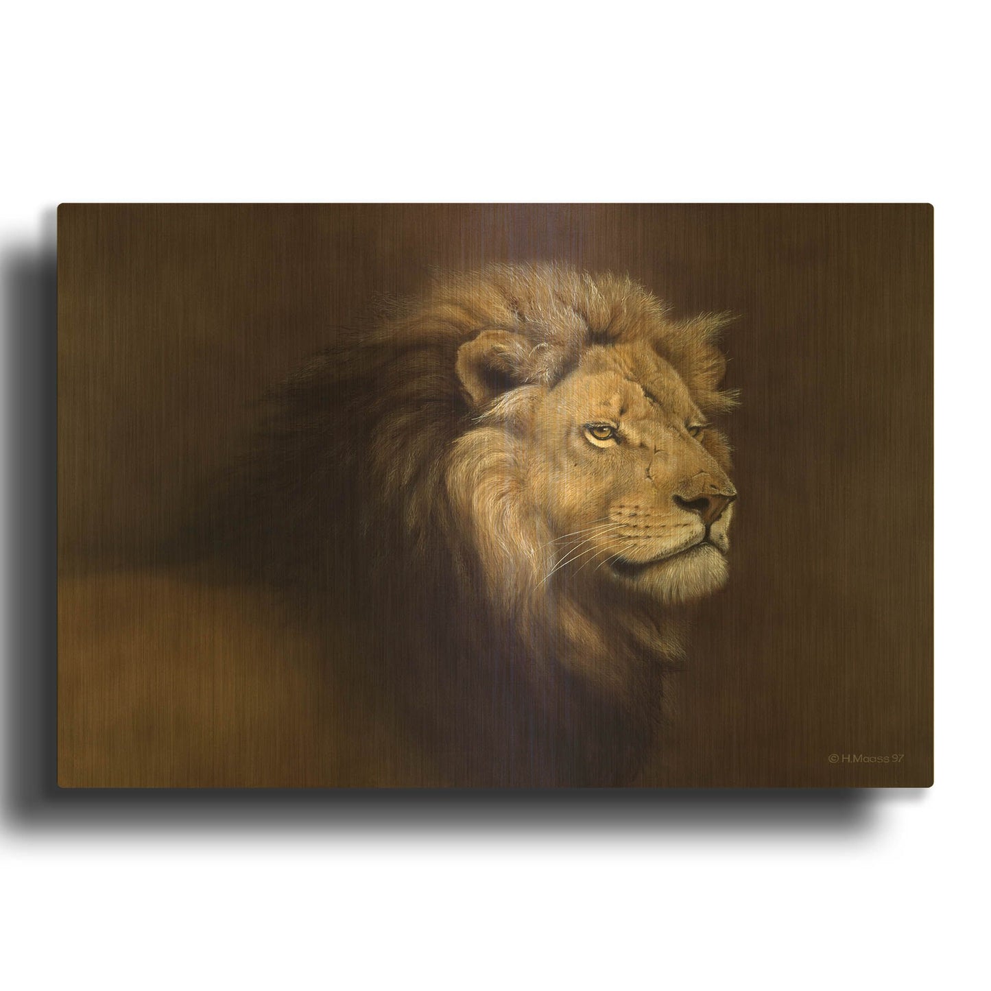 'Lion Male' By Harro Maass Gold Metal Wall Art