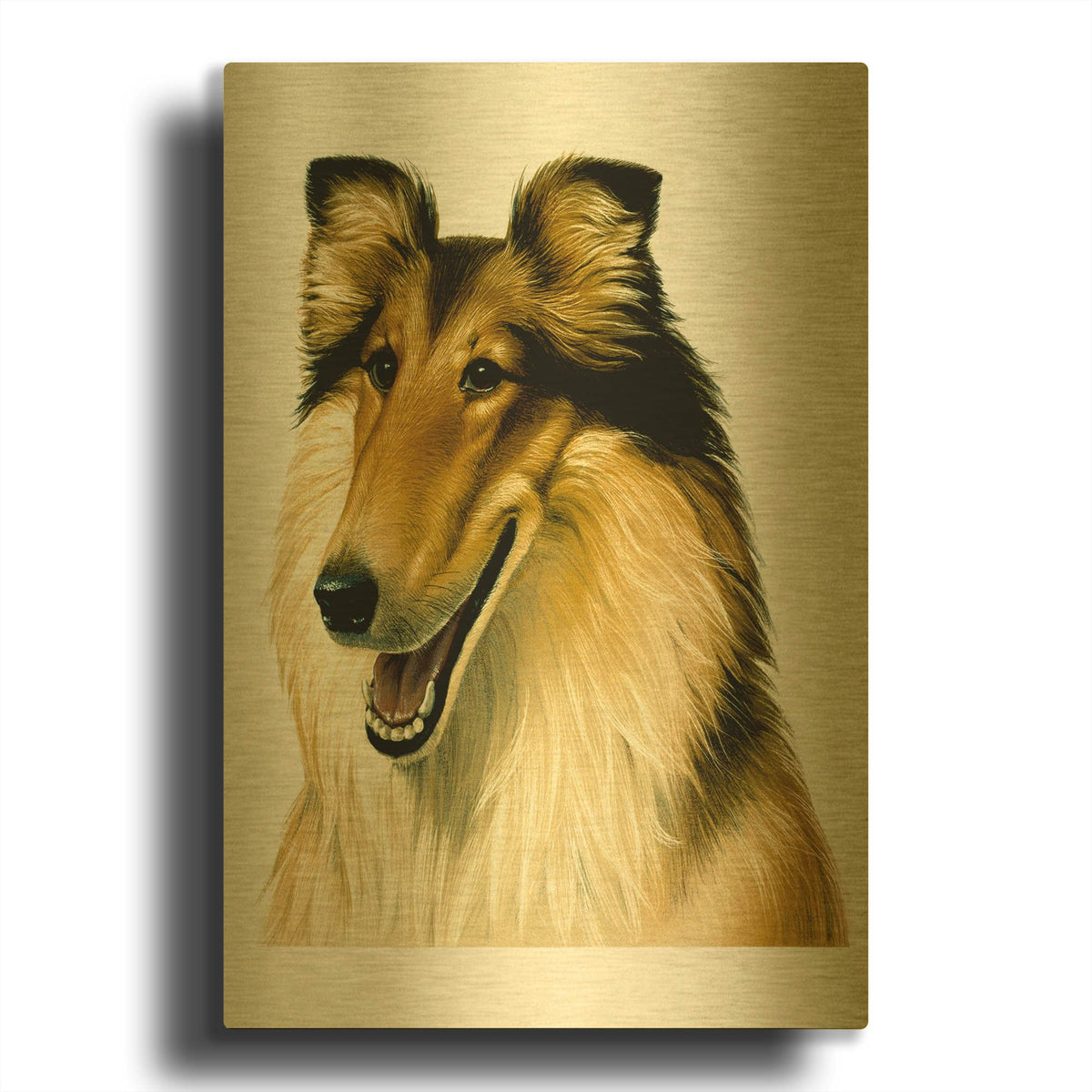 'Smiling Colli' By Harro Maass Gold Metal Wall Art