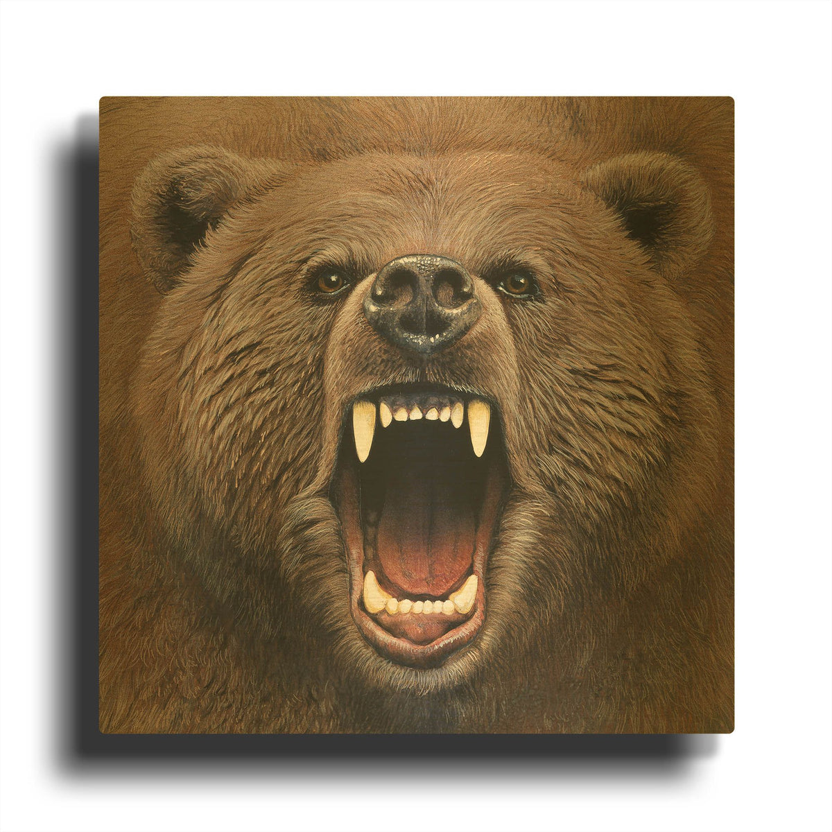 'Bear 2' By Harro Maass Gold Metal Wall Art