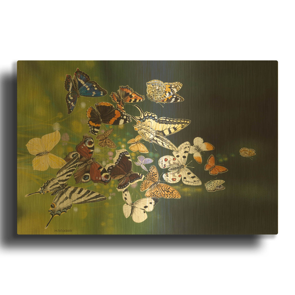 'Butterflies' By Harro Maass Gold Metal Wall Art