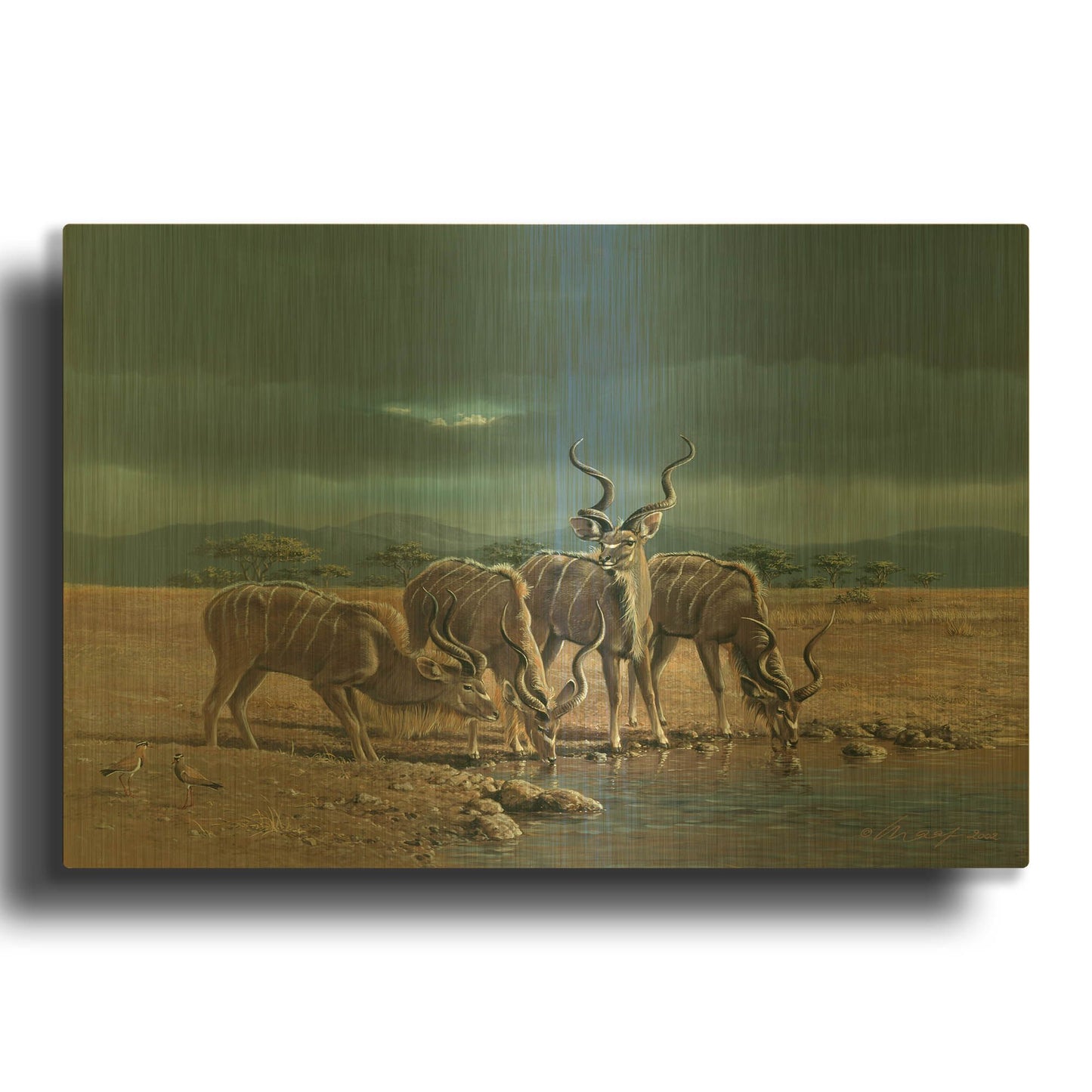 'Greater Kudus' By Harro Maass Gold Metal Wall Art