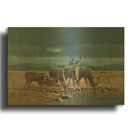 'Greater Kudus' By Harro Maass Gold Metal Wall Art