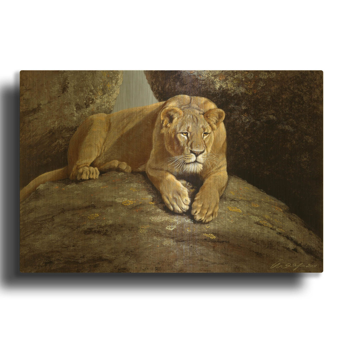 'Lioness' By Harro Maass Gold Metal Wall Art